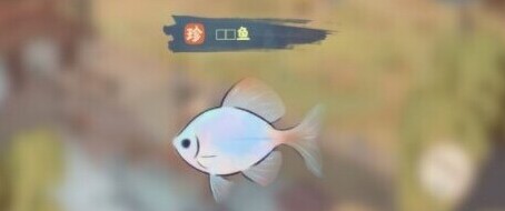 桃源深处有人家钓银鱼攻略
