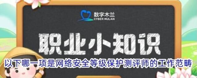 以下哪一项是网络安全等级保护测评师的工作范畴