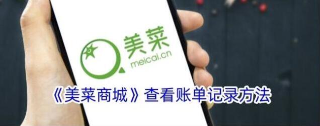 美菜商城账单