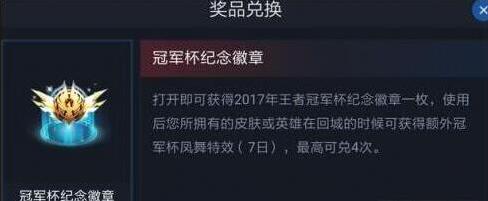 王者荣耀纪念