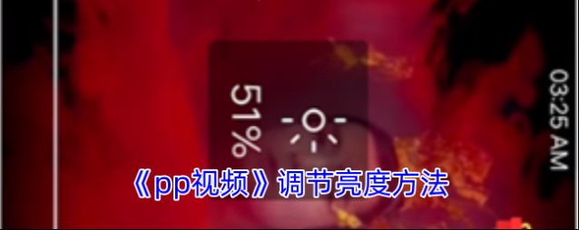 PP视频视频