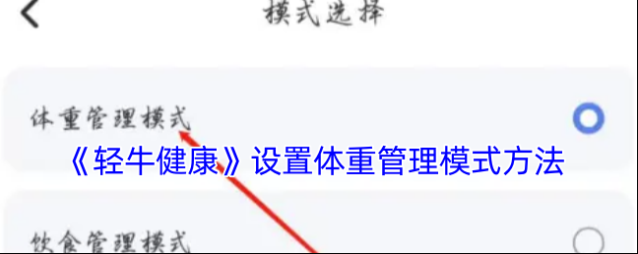 轻牛管理模式