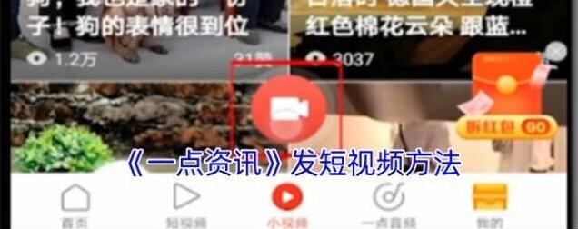 一点资讯视频