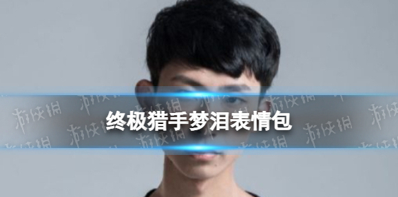 梗百科梦泪