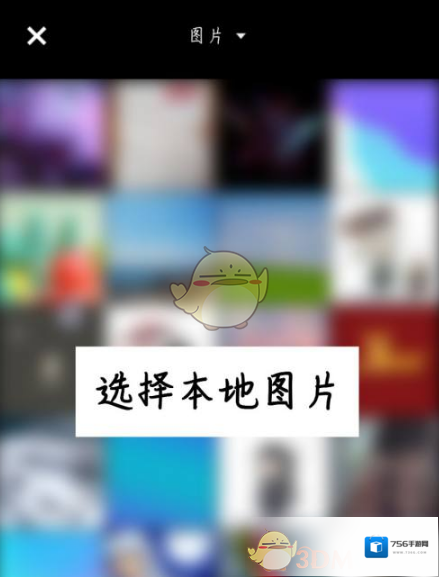 fimo相机图片