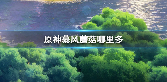 原神2.3慕风蘑菇哪里多 原神2.3慕风蘑菇位置介绍
