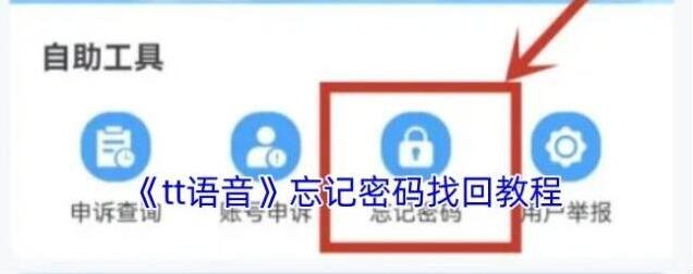 tt语音申诉