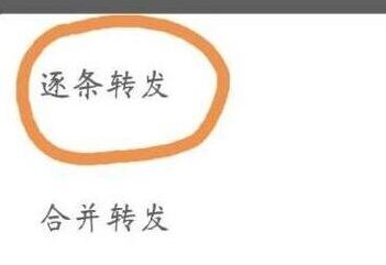 聊天记录分享