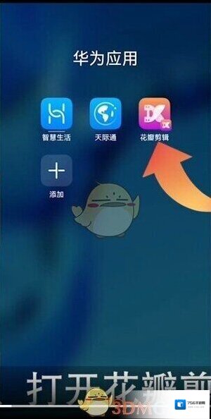 花瓣视频