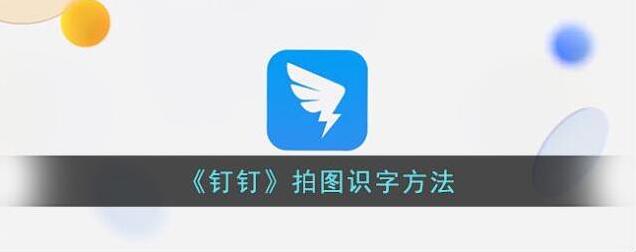 钉钉拍图识字