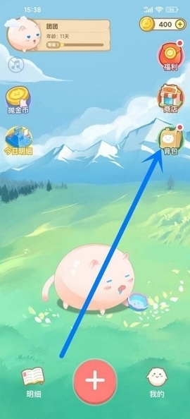团团记账喂养