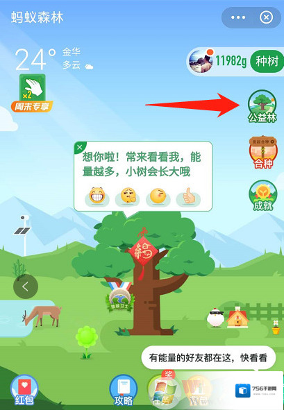 阿里支付宝