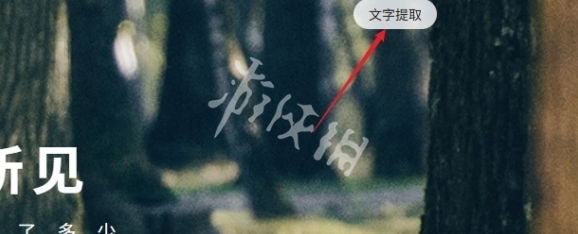 百度识图提取文字