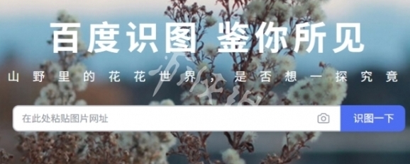 百度识图文档编辑