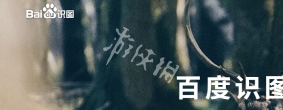 百度识图还能