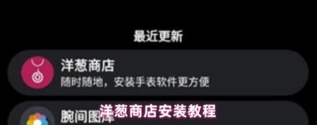 洋葱商店洋葱