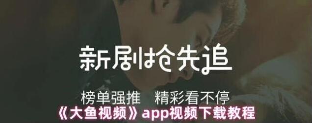 大鱼视频短剧