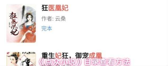 点众小说点击