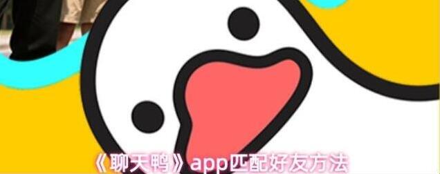 聊天鸭匹配