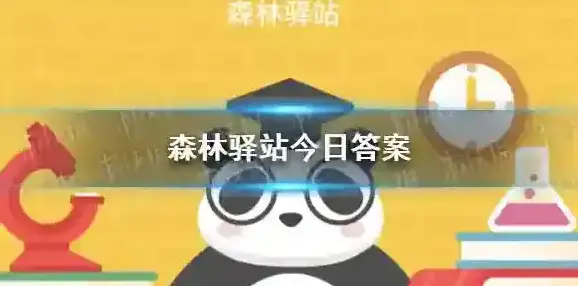 大熊猫看起来又胖又懒但是它擅长哪项运动呢 森林驿站今日答案8月16日