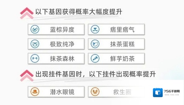 猫之城救援