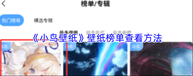 小鸟壁纸榜单
