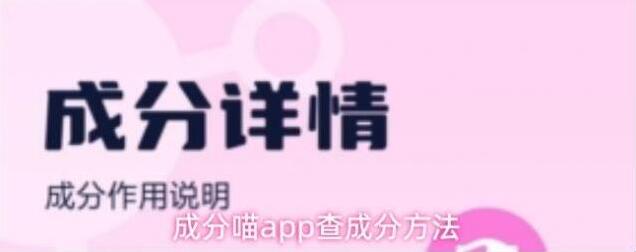 成分喵成分