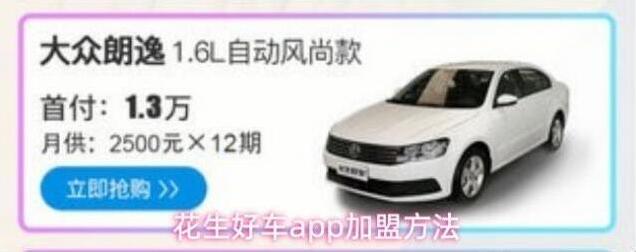 花生好车表格