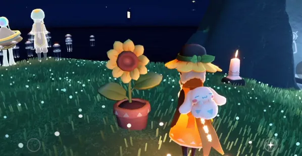 光遇有友节第二周第一个任务流程攻略一览