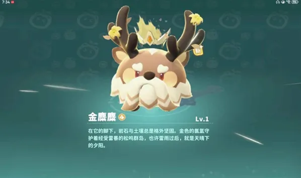 米姆米姆哈金麋麋捕捉攻略一览