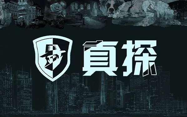 真探游戏攻略案件四 真探通关攻略大全