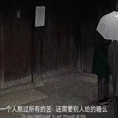 阿狸