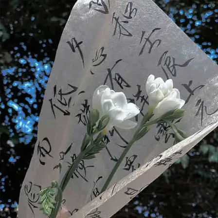 梦辙