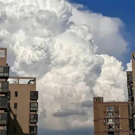 靖默