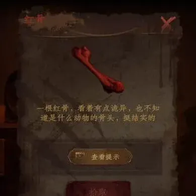 密室逃脱情棺