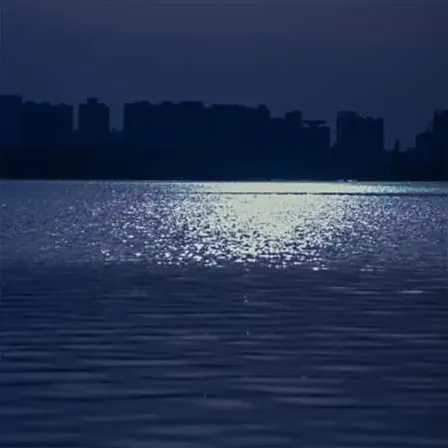 褪色