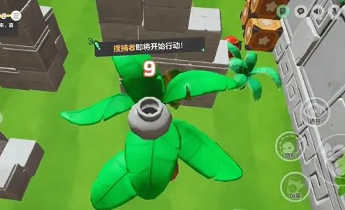 元梦之星点位