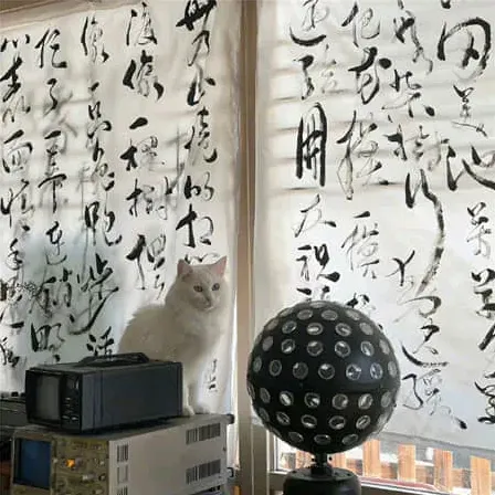 葡萄