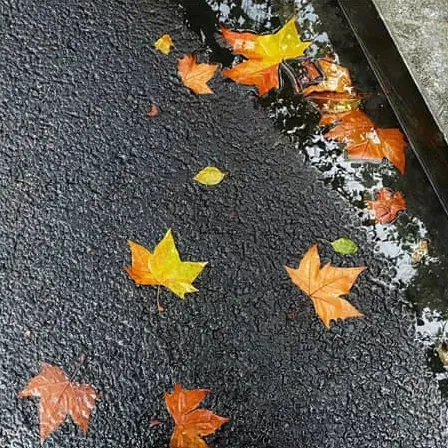 董先生