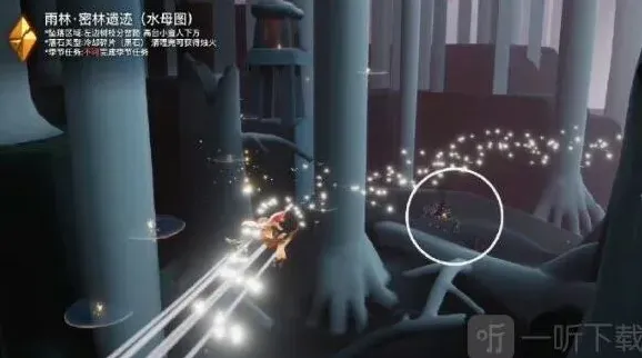 光遇位置