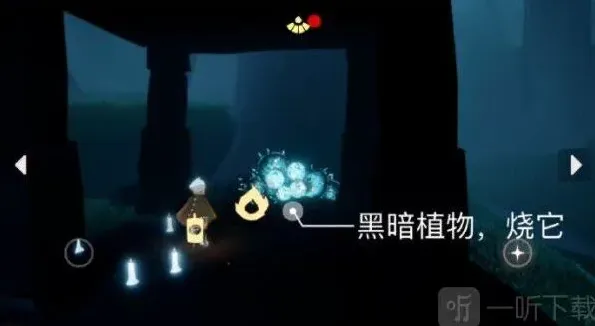 光遇介绍