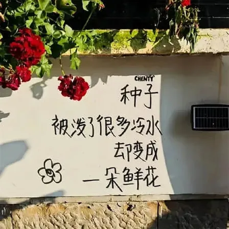 范屿