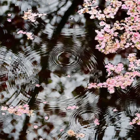 梅魇
