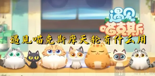 遇见摩天轮
