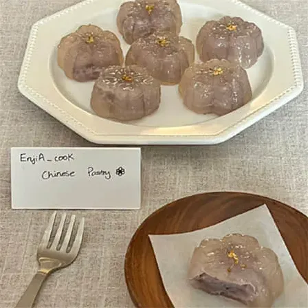 马尔济斯犬