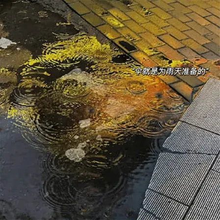 焦屿
