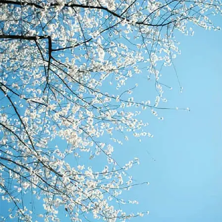 最火