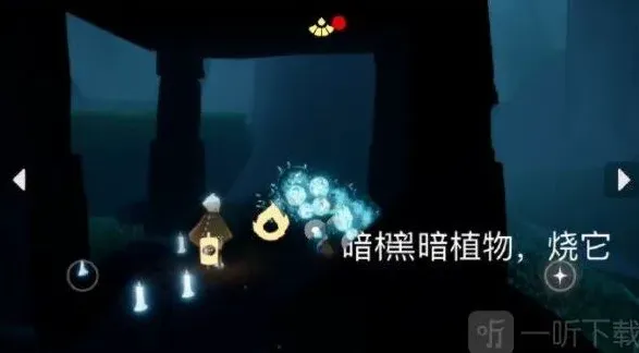 光遇介绍