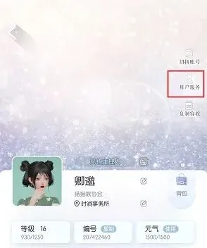 以闪亮之名礼包码