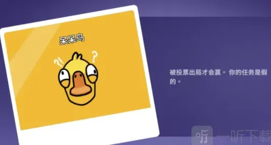 遇见鹅鸭